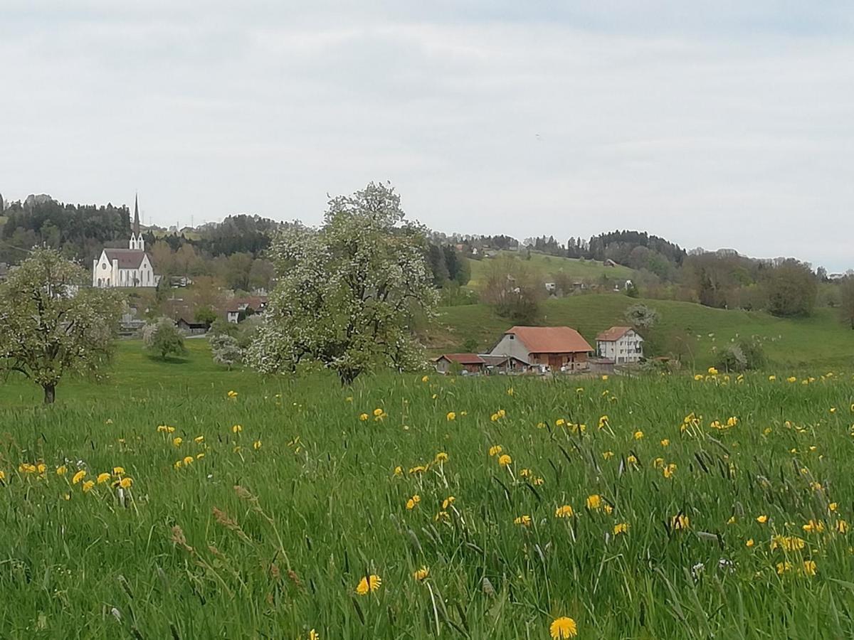 Billenberghof St. Gallen Exterior foto