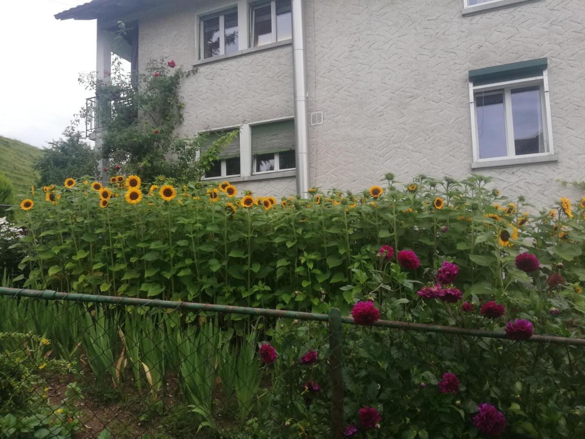 Billenberghof St. Gallen Exterior foto